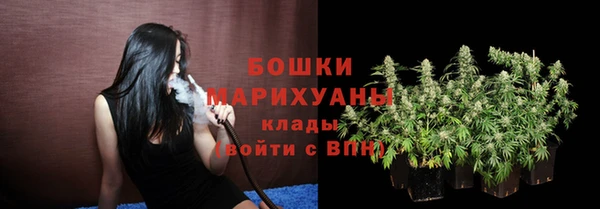 хмурый Арсеньев