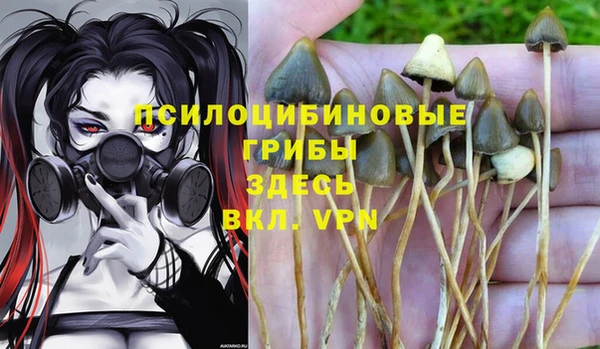 хмурый Арсеньев