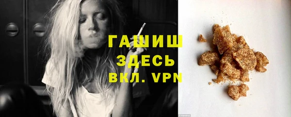 хмурый Арсеньев