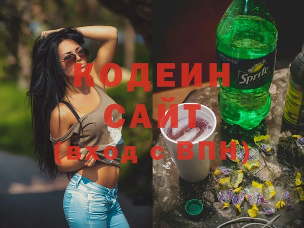 хмурый Арсеньев