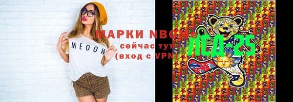 хмурый Арсеньев