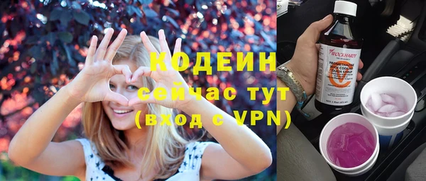 хмурый Арсеньев