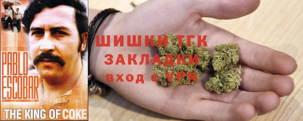 хмурый Арсеньев